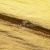 Текстильный материал "Диско"#1805 с покрытием РЕТ, 40гр/м2, 100% полиэстер, цв.5-золото - купить в Череповце. Цена 412.36 руб.