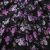 Плательная ткань "Фламенко" 20.1, 80 гр/м2, шир.150 см, принт растительный - купить в Череповце. Цена 241.49 руб.