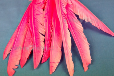 Декоративный Пучок из перьев, перо 25см/розовый - купить в Череповце. Цена: 14.40 руб.