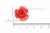 Украшение "Розы малые №1" 20мм - купить в Череповце. Цена: 32.49 руб.