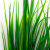 Трава искусственная -2, шт (осока 41см/8 см)				 - купить в Череповце. Цена: 104.57 руб.