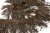 008-коричневый, Бахрома арт.001 шир.10см (упак.12+/-0,5м) - купить в Череповце. Цена: 1 017.33 руб.