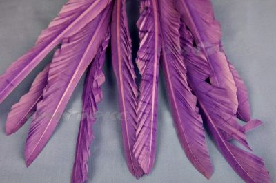 Декоративный Пучок из перьев, перо 25см/фиолетовый - купить в Череповце. Цена: 12.19 руб.