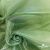 Ткань органза, 100% полиэстр, 28г/м2, шир. 150 см, цв. #27 зеленый - купить в Череповце. Цена 86.24 руб.