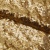 Сетка с пайетками №3, 188 гр/м2, шир.140см, цвет золотой - купить в Череповце. Цена 458.76 руб.