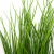 Трава искусственная -4, шт  (осока 50 см/8 см  7 листов)				 - купить в Череповце. Цена: 130.73 руб.