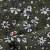 Плательная ткань "Фламенко" 11.2, 80 гр/м2, шир.150 см, принт растительный - купить в Череповце. Цена 259.21 руб.