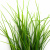 Трава искусственная -3, шт (осока 50 см/8 см  5 листов)				 - купить в Череповце. Цена: 124.17 руб.